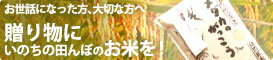 贈り物にいのちの田んぼのお米を